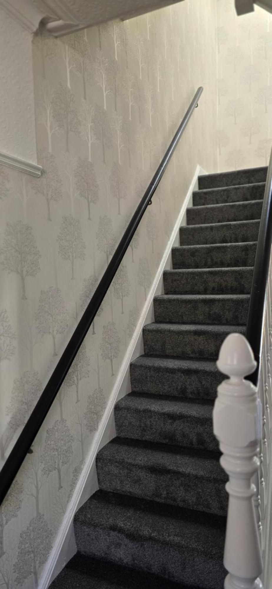 Alexandra Park House Apartamento Belfast Exterior foto